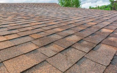 It’s Been a Long, Tough Winter – What Does This Mean for Roof Repairs?